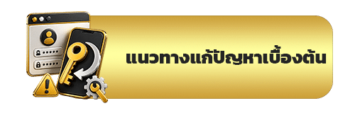 แนวทางแก้ปัญหาเบื้องต้น